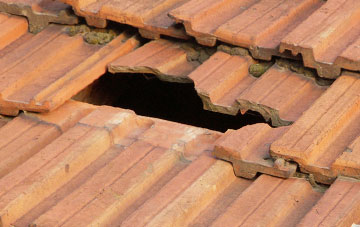 roof repair Bowes, County Durham